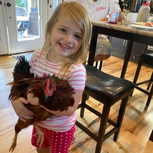 Meet your Posher, Stephen